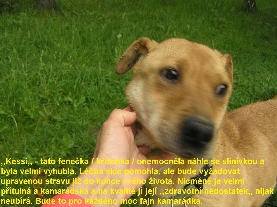 Kessi upr.1