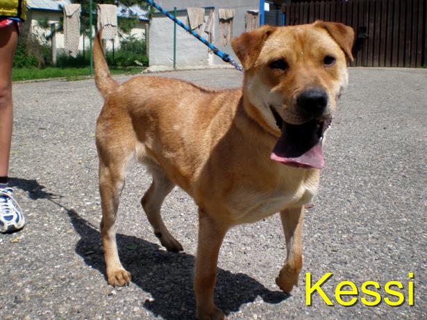 Kessi4